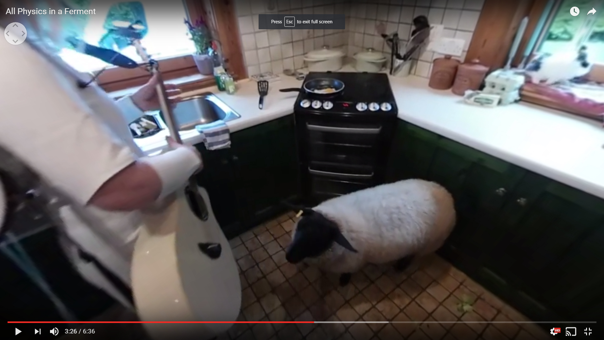 All Physics In A Ferment — still 2