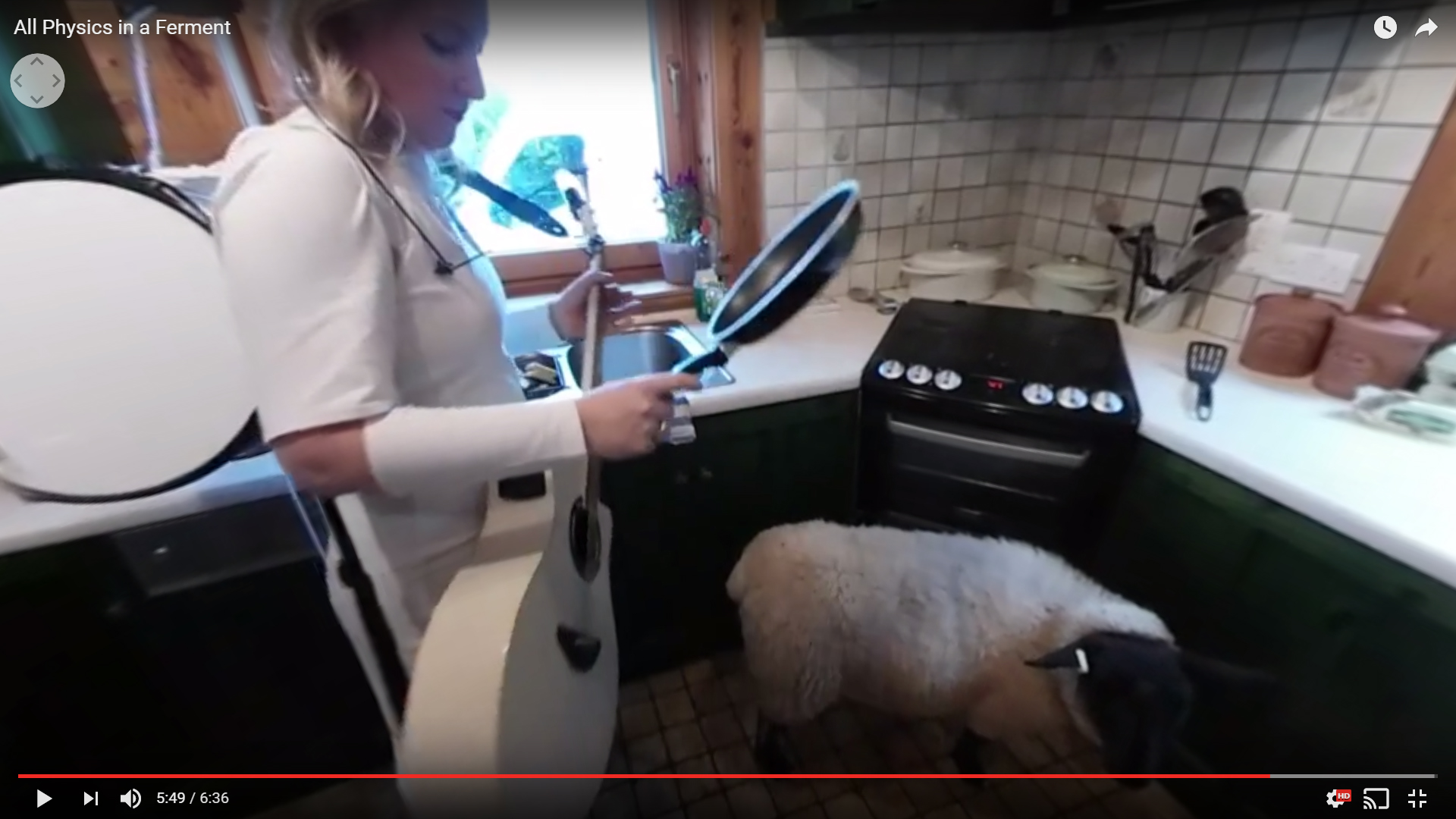 All Physics In A Ferment — still 3